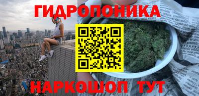 прущий лед Гай