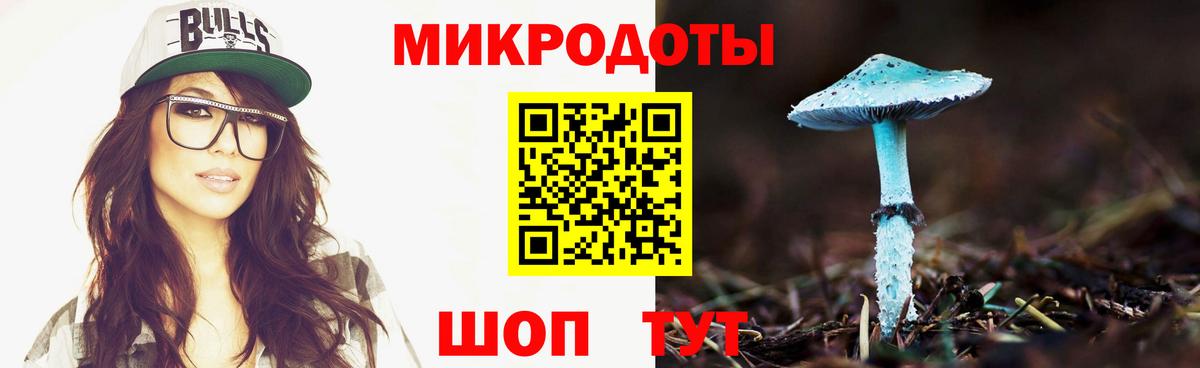закладки  Вход с VPN  Новочебоксарск  Галлюциногенные грибы MAGIC MUSHROOMS 